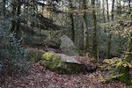 course d'orientation forêt de carnoët à Quimperlé